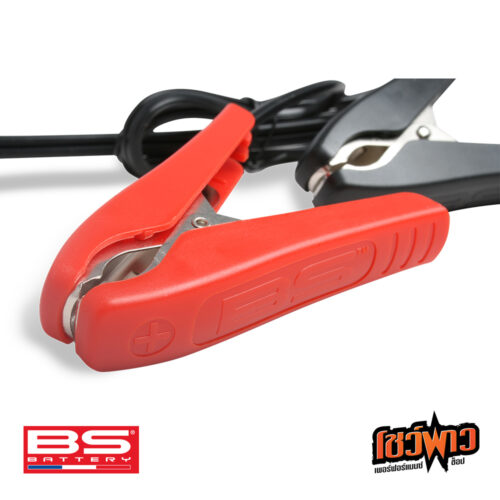 BS ISOLATED CLAMPS (CL-02)