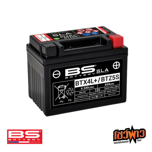 BS BATTERY BTZ5S (FA)