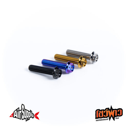 Front Caliper Mount Drill Hex น็อตคาลิปเปอร์ M10 - Image 2