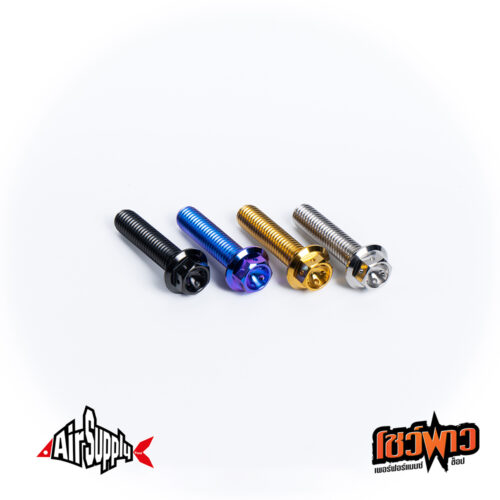 Front Caliper Mount Drill Hex น็อตคาลิปเปอร์ M10 - Image 3