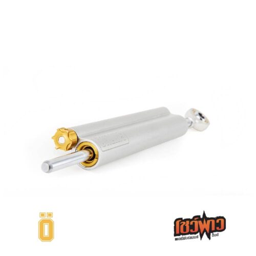OHLINS กันสะบัด