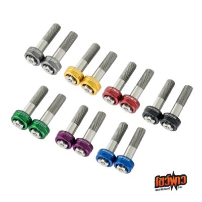 ชุดกันขโมย M8x125 ยาว 35mm REVOLUTIONน็อต